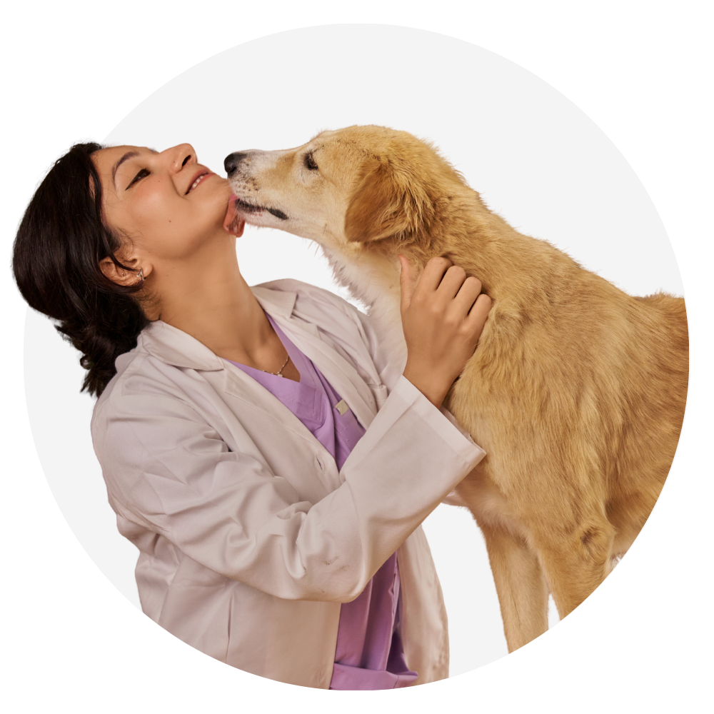 anserve veterinarian